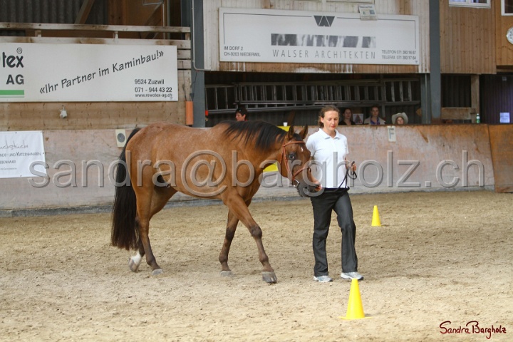 24-ApHC HIH_074.jpg
